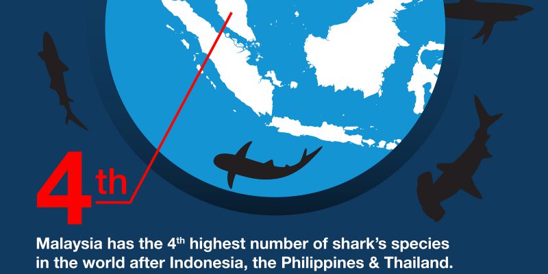 shark savers malaysia bunting (2.5ft x 6.5ft) bash run (final ou